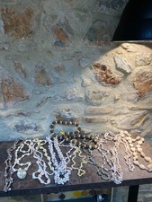 Lot colliers coquilages d'occasion  Claira