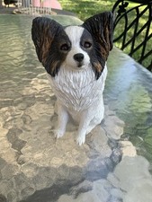 Adorable sandicast papillon for sale  Kansas City