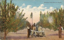 Oregon spraying fruit for sale  Brooklyn