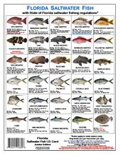 Saltwater fish regulations for sale  Summerfield