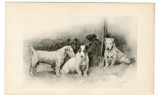 PATTERDALE JACK RUSSELL TERRIER CÃES 1896 ARTE DE CACHORRO ANTIGA IMPRESSÃO POR ARTHUR WARDLE, usado comprar usado  Enviando para Brazil