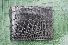 Real crocodile money for sale  USA