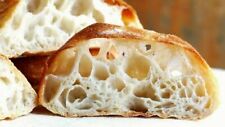 Fresh sourdough starter for sale  Arnold