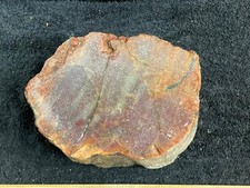 Arizona petrified wood for sale  Clovis