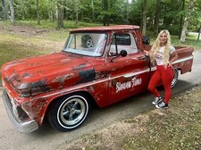 1964 chevrolet truck for sale  Cullman