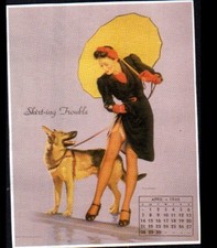 Image adulte sage d'occasion  Baugy