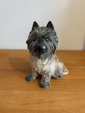 cairn terrier dog for sale  REDHILL