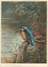 Archibald thorburn antique for sale  UK