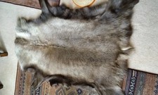 Large reindeer real for sale  UK