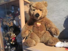 Steiff braunbär molly gebraucht kaufen  Dortmund