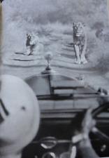 1936 hotel affenbrotbaum gebraucht kaufen  Baden-Baden