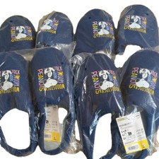 Paar disney peanuts gebraucht kaufen  Herzberg