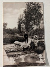 1940 cingoli macerata usato  Forlimpopoli