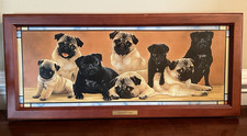 Rare irresistible pugs for sale  Mount Joy