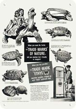 1948 galapagos tortoise for sale  Washougal