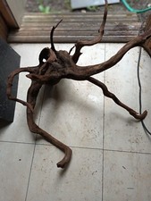 Bogwood large for sale  LONDON