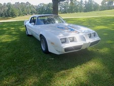 1981 pontiac firebird for sale  Hazlehurst