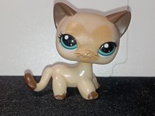 petshop chat d'occasion  Expédié en Belgium