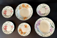 Retroneu rhapsody porcelain for sale  Santa Fe