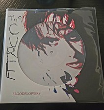 The Cure Bloodflowers Record Store Day Picture Disc comprar usado The Cure Bloodflowers Record Store Day Picture Disc comprar usado  Enviando para Brazil