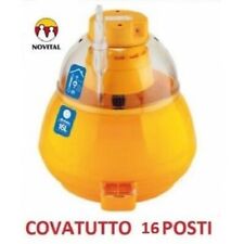 Incubatrice manuale covatutto usato  Castellammare di Stabia