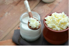 Kéfir lait bio d'occasion  Dijon