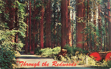 Yosemite national park for sale  Belleville