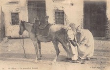 Morocco oujda farrier d'occasion  Expédié en Belgium