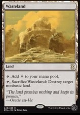 Wasteland eng mtg usato  Taranto