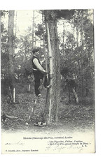 Landes resinier d'occasion Landes resinier d'occasion  Toulon-