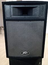 Diffusori peavey pro usato  Carovigno