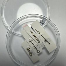 Rolex hands set usato  Acireale