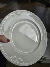 Speiseteller 27cm eßteller gebraucht kaufen  Buchholz i.d. Nordheide