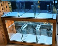 Aquariumanlage zuchtblock aqua gebraucht kaufen  Storkow