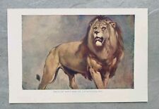 Antique lion king for sale  BASINGSTOKE