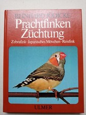Prachtfinken züchtung reinhar gebraucht kaufen  Hügelsheim