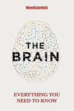 The brain everything gebraucht kaufen  Berlin