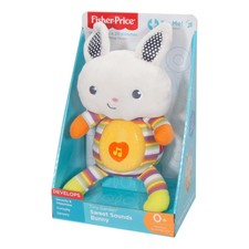 Fisher price piccolo usato  Spedire a Italy
