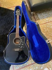 Chitarra dodici corde usato  Roma