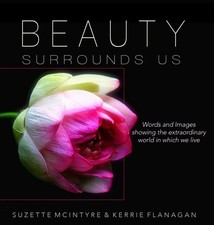 Beauty surrounds words for sale  Lynden