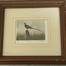 Framed pheasant limited for sale  PUDSEY