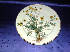 Speiseteller vom villeroy gebraucht kaufen  Lübeck