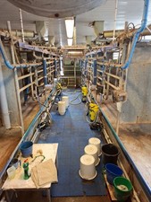 Delaval standing variotandem for sale  POOLE