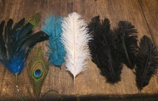 8 Piezas - Juego Plumas 5-8" Largo Artesanal Boda Sombrero Fiesta segunda mano  Embacar hacia Mexico