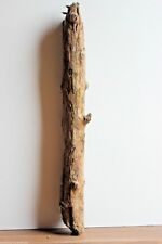 Treibholz schwemmholz stamm gebraucht kaufen  Halblech