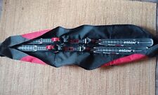Allround carving ski gebraucht kaufen  Wittenberg
