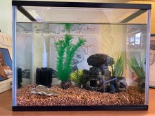 Aquarium fish tank for sale  BROMLEY