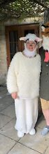 Fancy dress sheep for sale  NEWTON AYCLIFFE