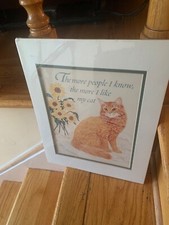 Cat poster print for sale  Congers