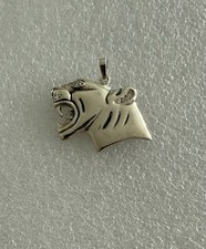 Anhänger 925 silber gebraucht kaufen  Köln